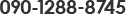 090-1288-8745
